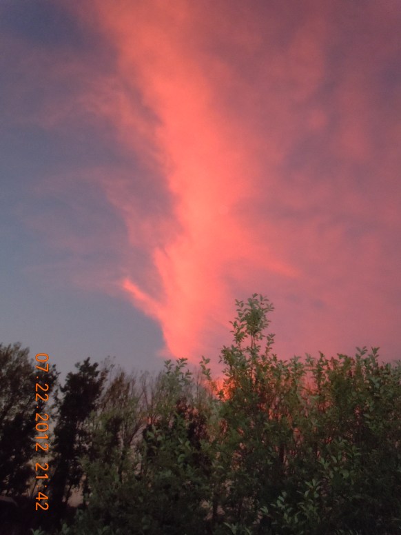 Birds &amp; Bouquets 019